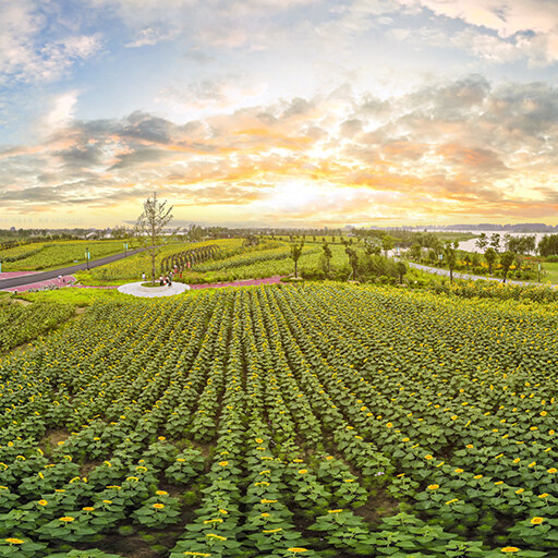 VR全景在农业产业及农业旅游的应用